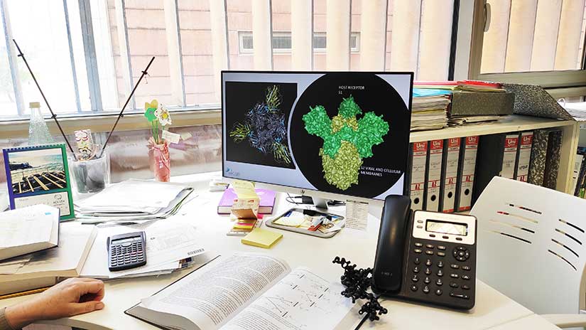 Investigación sobre COVID-