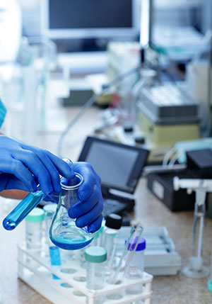 Custom-made polyclonal  antibodies 