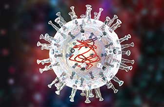 African swine fever virus (ASFV)
