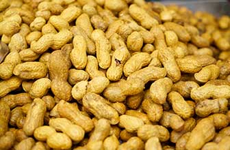 Arachis hypogaea (Peanut)