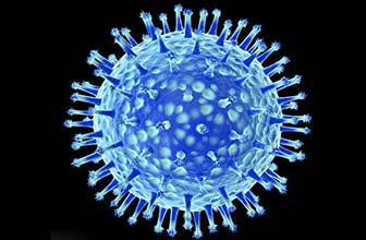 Oral herpes caused by Herpes simplex virus type 1 (HSV-1)