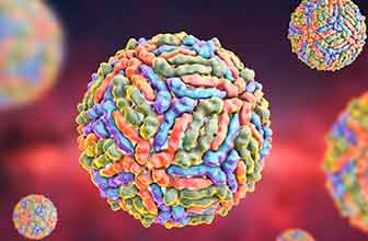 Infección por el virus del Nilo Occidental (WNV)