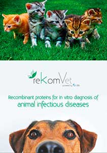 Recombinant proteins for in vitro diagnosis of animal infectious diseases