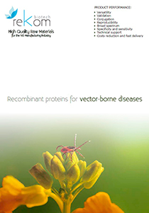 Recombinant proteins for vector-borne diseases