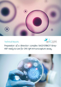 Preparation of a detection complex RAG0109BIOT-Strep-HRP ready-to-use for CMV IgM immunocapture assay