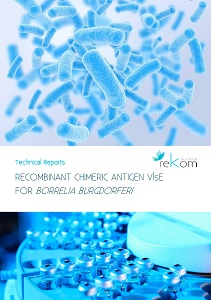 Recombinant multi-epitpope antigen VlsE for Borrelia burgdorferi